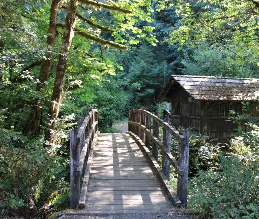 camp silver creek bridge